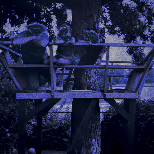 in my treehouse (music video)