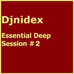 Essential Deep Session #2