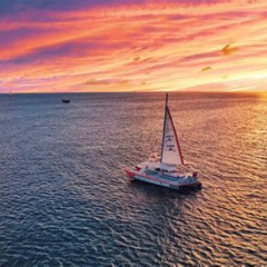 Review Special Price Aruba Happy Hour Sunset Sail With Savory Bites And Cocktails