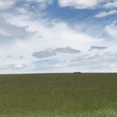 this distance