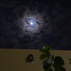 فلاح المسردي - عابر مشاعر ❤️.