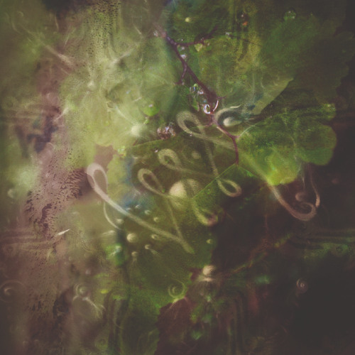 𝐏𝐑𝐄𝐌𝐈𝐄𝐑𝐄 | Dekalog - Human Resources [Aurora Records]