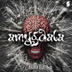 Amax DJ - Amygdala