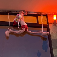 I'm back xx give me a gig! (vinyls)