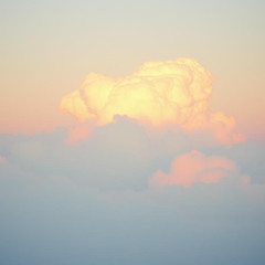 Cruella - Manifestations