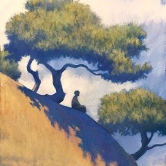 Mindfulness Contemplation (03-12-2025)