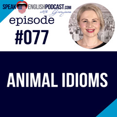 #077 Animal Idioms in English with a story