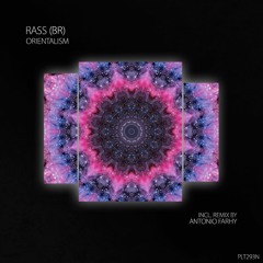 PREMIERE: Rass (BR) - Inspirations (Original Mix) [Polyptych Noir]