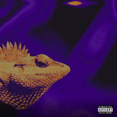 RICHRICKY - KMALEÃO prod. JXSE