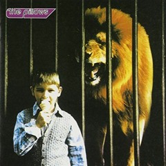 the pillows - black sheep