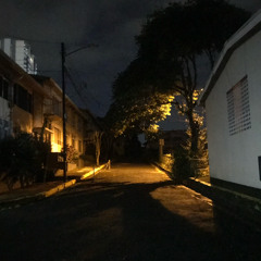 Nightcrawler