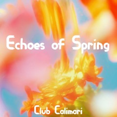 Echoes of Spring (2025 Mix)