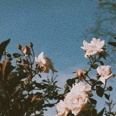 Tyla Yaweh - Tommy Lee feat. Post Malone ( slowed + reverb + 432hz )