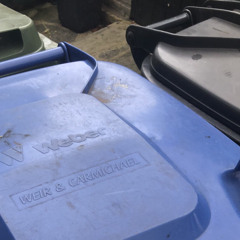 in the bin