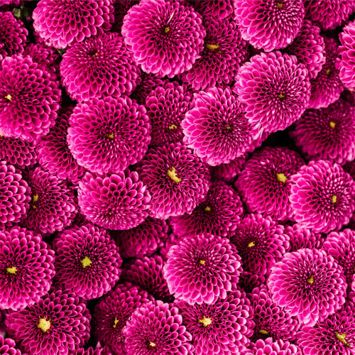 Black Widow (Instrumental)