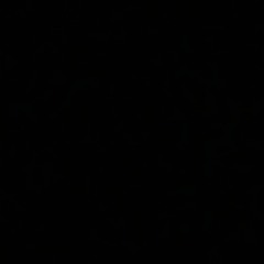 Jesse Somfay - This Fragile Addiction