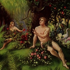 adam n eve
