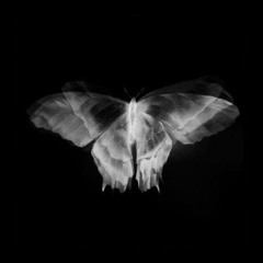M4X- BUTTECHNOFLY