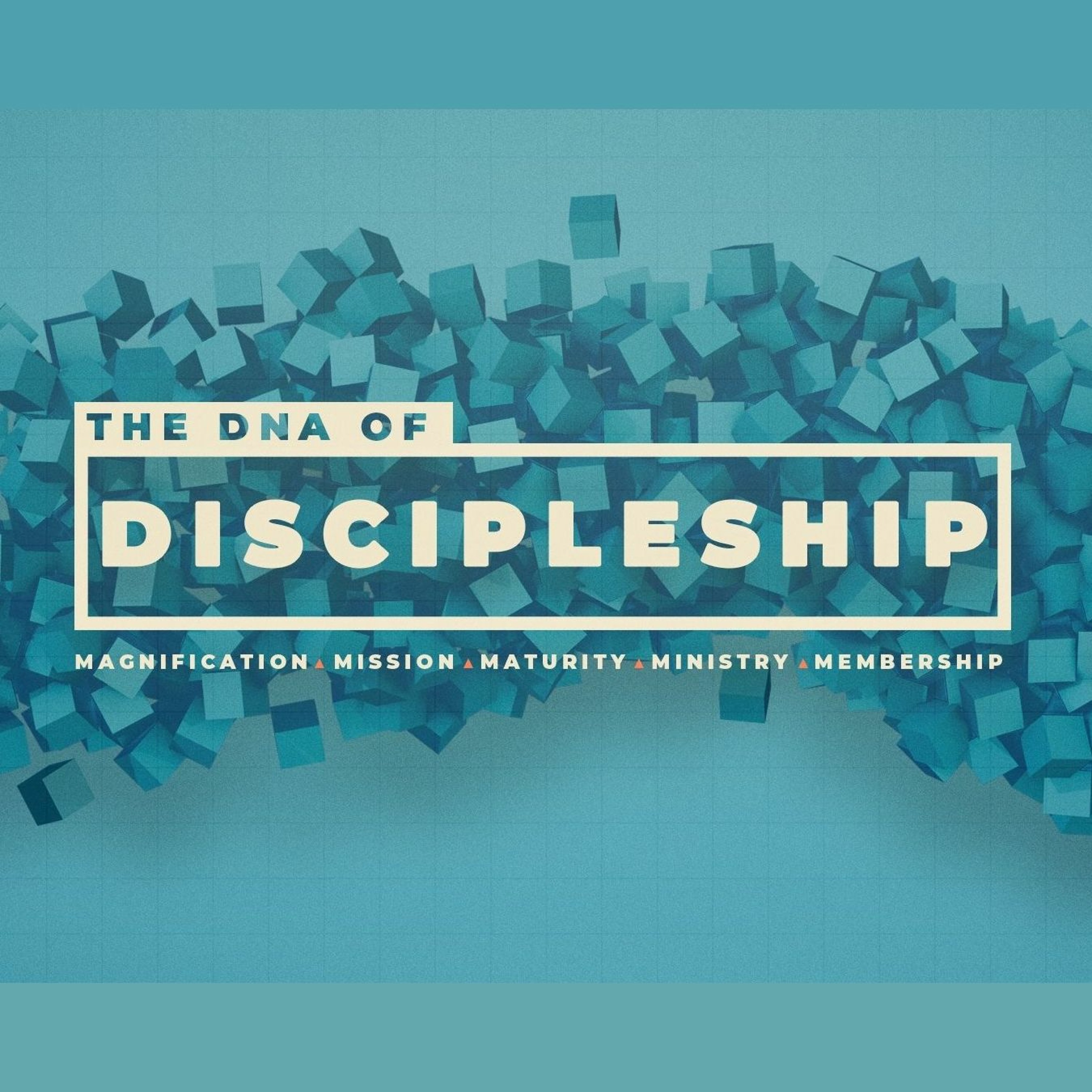 The DNA of Discipleship #2: Magnification episode artwork