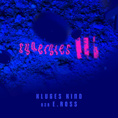 Kluges Kind b2b E.Ross @ Synergies III