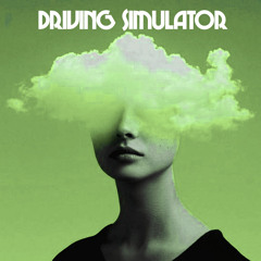 DRIVING SIMULATOR