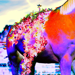 galloping horses - demo