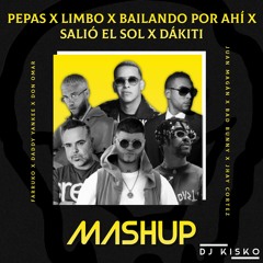Pepas Remix - Farruko, Daddy Yankee, Juan Magán, Don Omar, Bad Bunny & Jhay Cortez (Mashup)