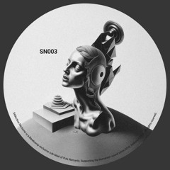 PREMIERE: Dragusanu - The Celebration [SN003]