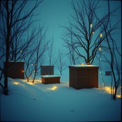 The Things You Own End Up Owning You