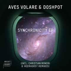PREMIERE: Aves Volare & Doshpot - Synchronicity (Original Mix) [Aviary Recordings]