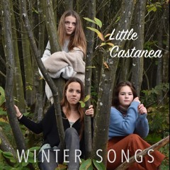 In The Bleak Midwinter