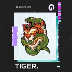 Tiger 🐯 (Download Beat - Link In Bio)