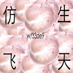 仿生飞天 w/33de9