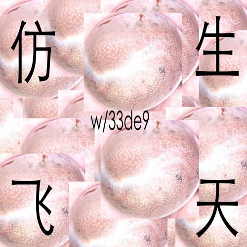 仿生飞天 w/33de9