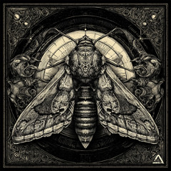 Mothlight [V]