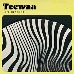 Tecwaa - The Dune Bar [Mireia Records]