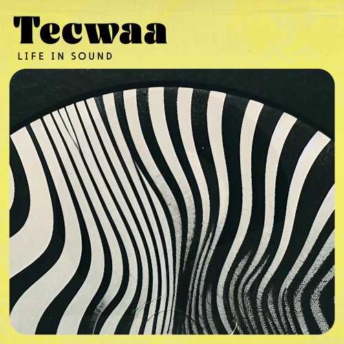 Tecwaa - Bagan Nights [Mireia Records]