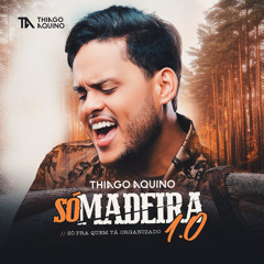 Não Posso Dizer Adeus (Ao Vivo)