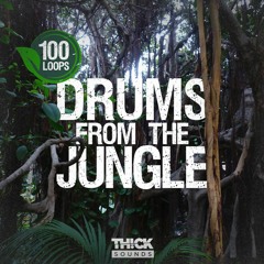 JUNGLE FEVER - Spring Mix 2024