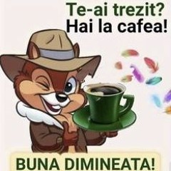 manelutsa cafelutsa mai 2023 promo mix