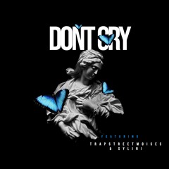 Don't Cry (Feat. Sylini)