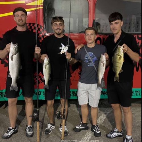 SHM 10 min house mix