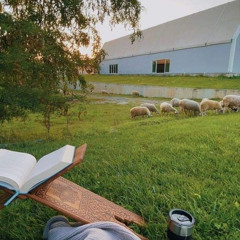 يا قارئًا آيَ الكتاب (بَوح آية)| عبد العزيز تويم
