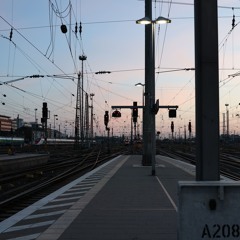 FFM
