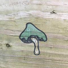 SHROOMS [prod. saint urya]