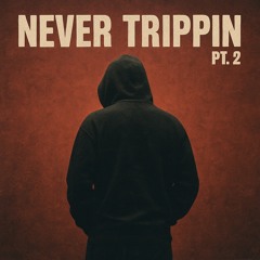 Never trippin pt 2 (freestyle)