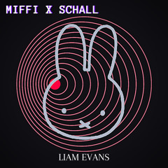 Liam Evans - Miffi X Schall
