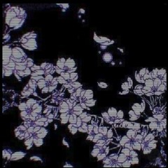 acuminate-sonic-vibrations