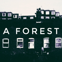 A Forest. Intense Version. Cover.