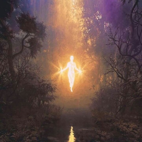 Leonids (Checco Flip Edit)